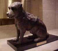 Statue / monument of  Owney in Washington DC by Sculptor  Unknown