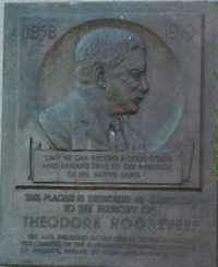 Statue / monument of Theodore Roosevelt in Washington DC by Sculptor  Unknown